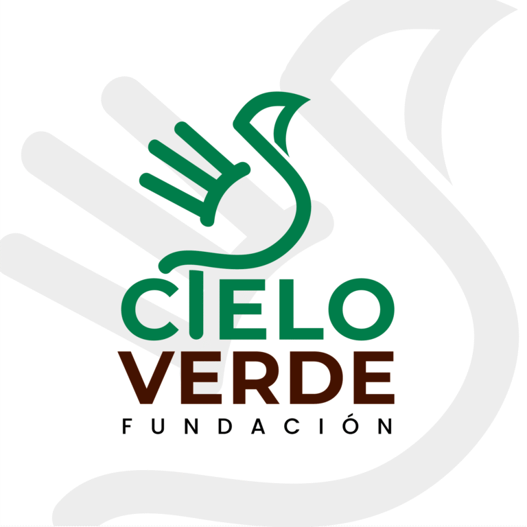 Logo-8